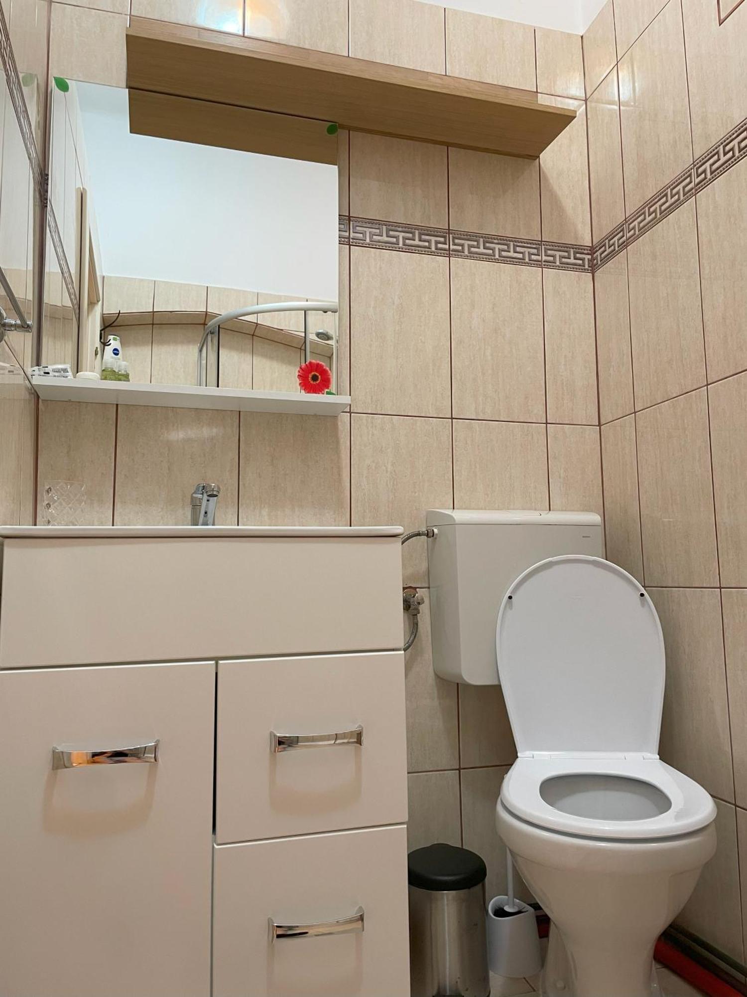 Studiopro44 سيبيو المظهر الخارجي الصورة