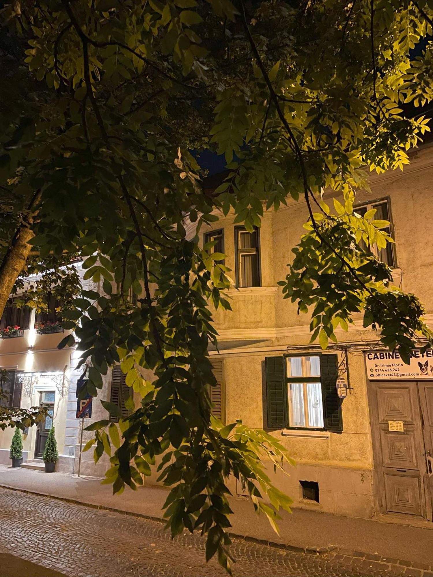 Studiopro44 سيبيو المظهر الخارجي الصورة